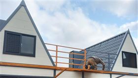 女友媽酸「工人很丟臉」爸反笑：24歲月薪5萬將來當老闆（圖／翻攝自爆廢公社二館臉書）