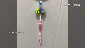 全聯公仔別丟　牙刷架超狂創意新用途