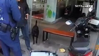 帶著毛孩販毒！男落網求警送愛犬回家