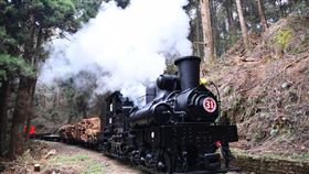 阿里山蒸汽火車載運疏伐林木（2）繼2月底在林鐵水山線行駛蒸汽火車附掛工程列車載運疏伐林木後，阿里山林鐵及文資處31日再度開行編號SL-31蒸汽火車載運林木至沼平車站。（阿里山林業鐵路及文化資產管理處提供）中央社記者蔡智明傳真  110年3月31日