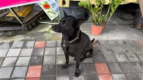 歐告,勸世文,環島,徒友（圖／翻攝自臉書《花蓮人》）