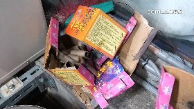 文 鞭炮惹父怒1200