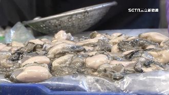 生蚵「味道變苦澀」　銷量少3、4成