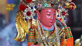 ▲臨水夫人金尊。（圖／寶島神很大）