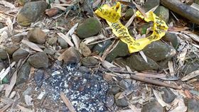 南投埔里臥龍洞，3人吊死命案，靈異網紅，試膽，焚燒金紙，噴漆違法 (圖／南投林管處提供)
