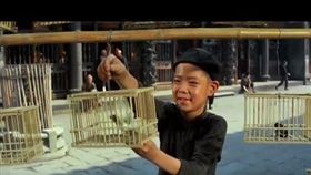 圖：《退休好幸福》提供
圖：《位佳多媒體》提供
翻攝自《婉君表妹YOUTUBE電影》
翻攝自tarstarkas.net網站

