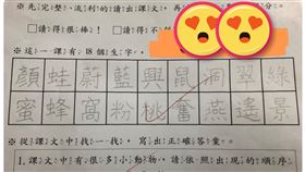 寫字,生字,國字.小學.印刷(翻攝自 爆廢公社)