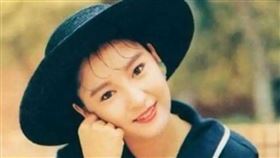 雪梨，嚴慧明，16歲初戀張國榮，徐少強，渣男，未婚單親媽媽，李莫愁(圖／翻攝自百度百科)