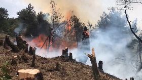 燒山關三年0800(DL)