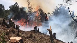 火燒玉山罰太輕惹議　林務局預告修法