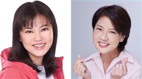 北市副市長黃珊珊「豬頭說」引議論，台北市議員游淑慧批評，選戰都還沒開始，竟直接對人人身攻擊。（圖／資料照）