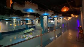 台東都歷遊客中心推特展「光．再生」台東都歷遊客中心推出特展「光．再生」，由藝術家林俊德及高惟維共同創作，利用日常廢棄物如好神拖的脫水機、壞掉的雨傘、鳥籠、回收的紙箱、衣服、寶特瓶等，運用巧手及巧思變化成一盞盞明亮的燈飾，體現循環回收物的生命力。（交通部觀光局東部海岸風景區管理處提供）中央社記者盧太城台東傳真  111年2月18日