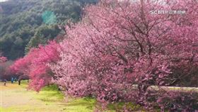 ▲雨水節氣到，會有什麼氣候產生呢？（示意圖／三立新聞網）