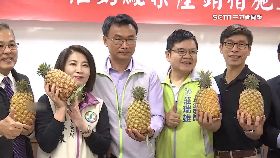 屏綠政策戰2400-1