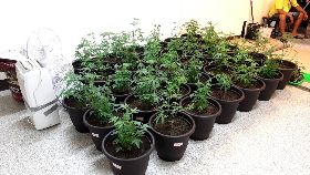 假開飲料店掛布條「疫情暫緩」  暗藏