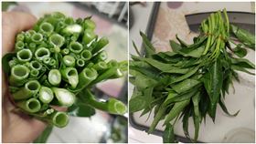 空心菜管子流「乳白汁液」！她不敢煮看傻…內行讚：是極品（圖／翻攝自廚藝公社）