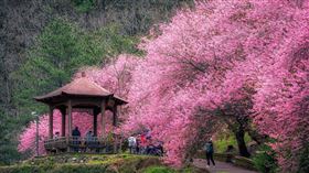 攝影師林建邦提供