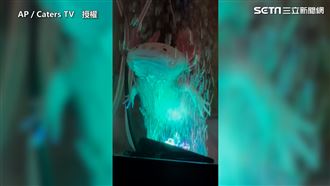 享受泡泡馬殺雞　蠑螈懶洋洋療癒爆表