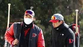 ▲SSG登陸者在濟州島春訓。（圖／取自SSG登陸者FB）