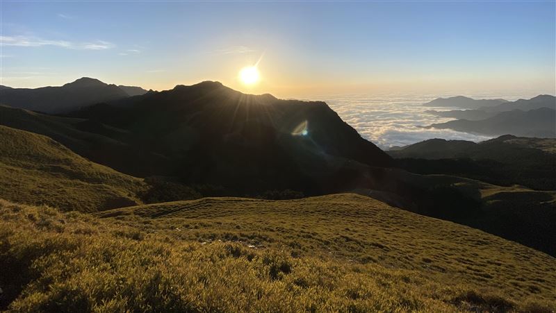 患絕症活不久！歐洲女高管專程來台原因曝