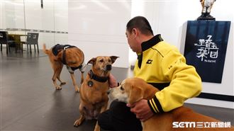 廖老大養浪浪挑傷犬　暖蓋墓園幫善終