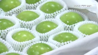 台蜜棗首度進軍法國　一顆要價70元