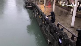 田寮河城市釣魚　釣到石斑比人臉還大