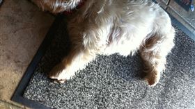 狗狗
https://www.flickr.com/photos/smemon/6114260088/in/photolist-ajibvo-bBuiA5-R9jnDW-9aRtNF-9YpP1Q-3Pw8eN-5ibyg7-pzme9k-H7AH1c-26JikZb-ce8ncY-rnYKbg-bATasW-43DUzo-eZyMAb-8oiqjq-oKVtHt-9pgKCb-F3uXFa-zc