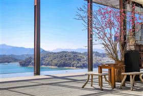 南投櫻花。（圖／涵碧樓提供）