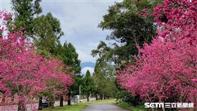 涵碧樓。（圖／記者馮珮汶攝）