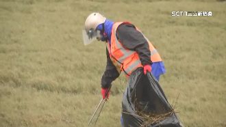 獨／雨衣客踩高美保護區？真實身分曝