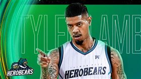 ▲台啤英熊簽下亞洲外援林泰樂（Tyler Lamb）。（圖／台啤英熊球團提供）