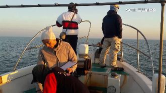 鯨豚觀察員招募中　「不暈船者」優先