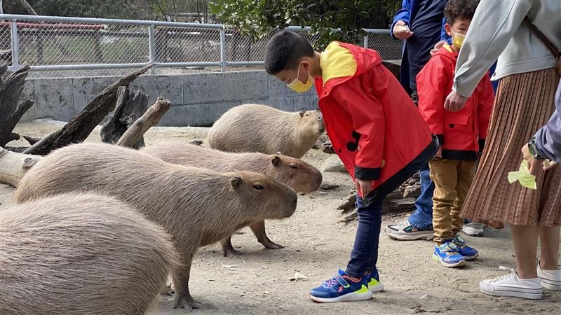 228連假玩頑皮世界　2人799元