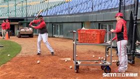 ▲味全龍林智勝春訓打網。（圖／記者蕭保祥攝影）