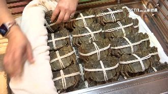 禁抓抱卵母蟹5個月！漁民憂影響生計