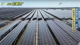 業配，鹽田變黃金