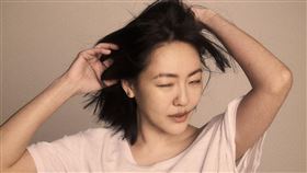 徐熙娣 小S 犬象提供