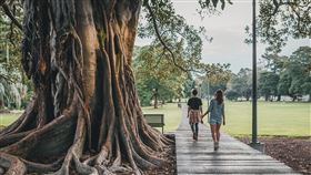 大自然,運動,開心,正能量（圖／翻攝自pixabay）