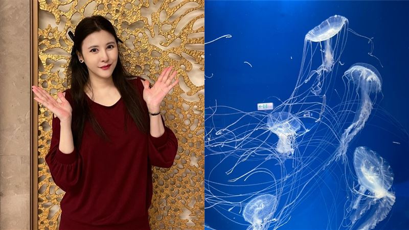 水族館打卡被譙翻　百億千金難過發聲