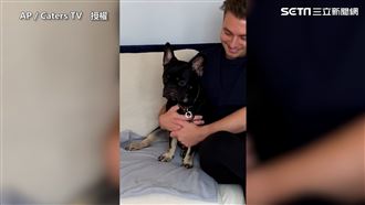 嬰兒受寵狗狗吃醋　「懂不懂規矩？」