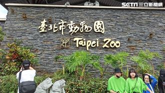台北飆38度　「這動物」最怕熱急躲冷氣房