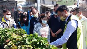 陳吉仲視察草莓水傷(農委會)