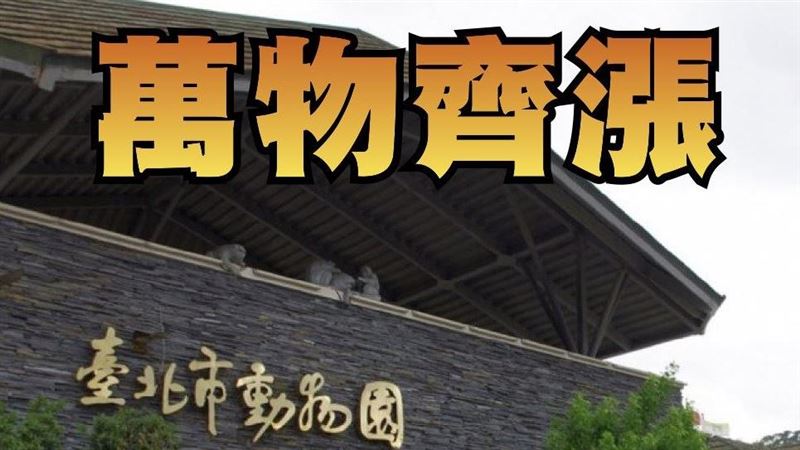 動物園門票翻倍漲　議員：懲罰家長？