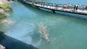 Y明潭臭黑海1800