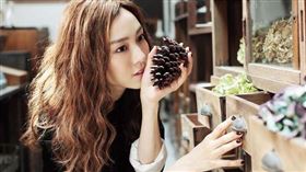 范瑋琪（圖／翻攝自范瑋琪IG）