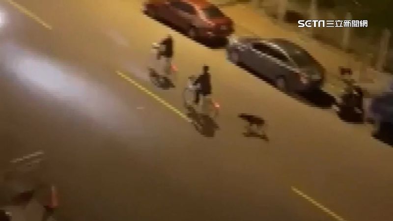 台中驚險路段！經過皆被流浪狗狂追