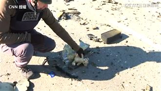 多圖／直擊俄烏最前線…戰火下的布偶