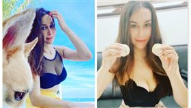 烏克蘭,俄羅斯,戰爭,打仗,高雄,歐那,捐款