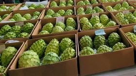 鳳梨釋迦(農糧署提供)